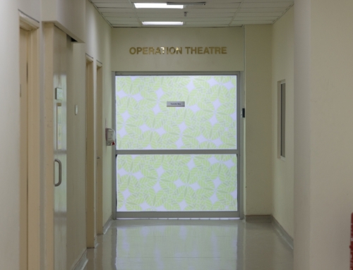 10 things you need to know before choosing glass fire doors